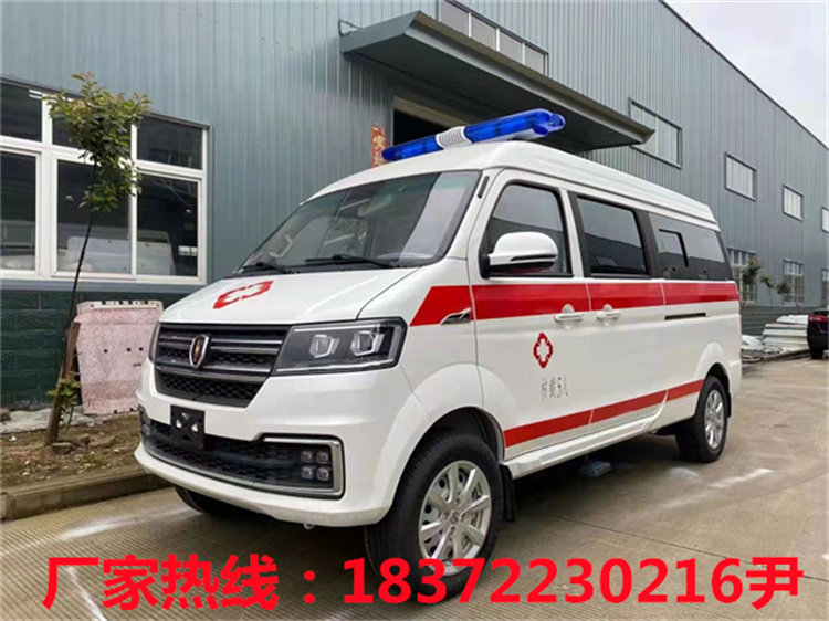 金杯小海獅轉運型救護車！